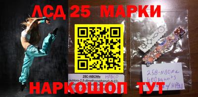 стаф Сланцы