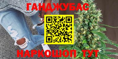 стаф Сланцы