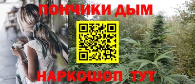 стаф Сланцы