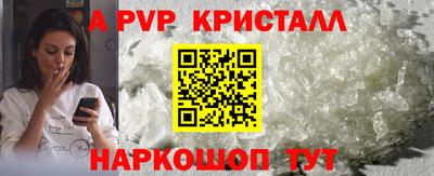 стаф Сланцы