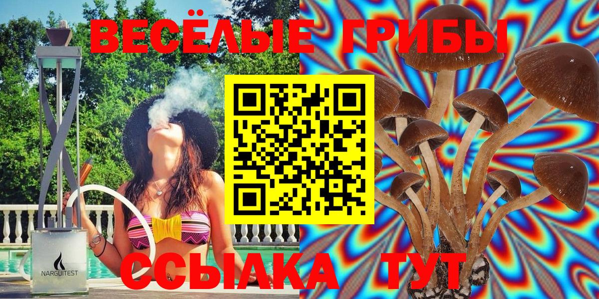 Галлюциногенные грибы прущие грибы Алексеевка